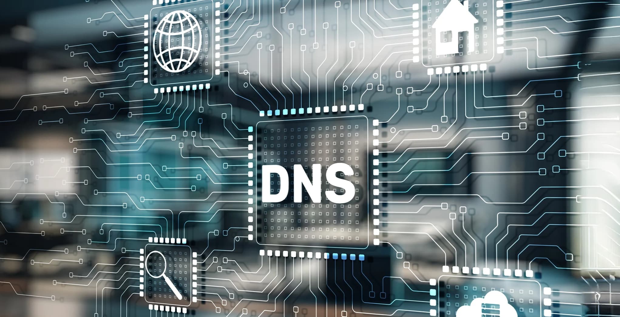 dns-dot.jpg