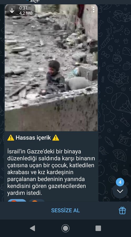 Screenshot_20250424-200555.jpg