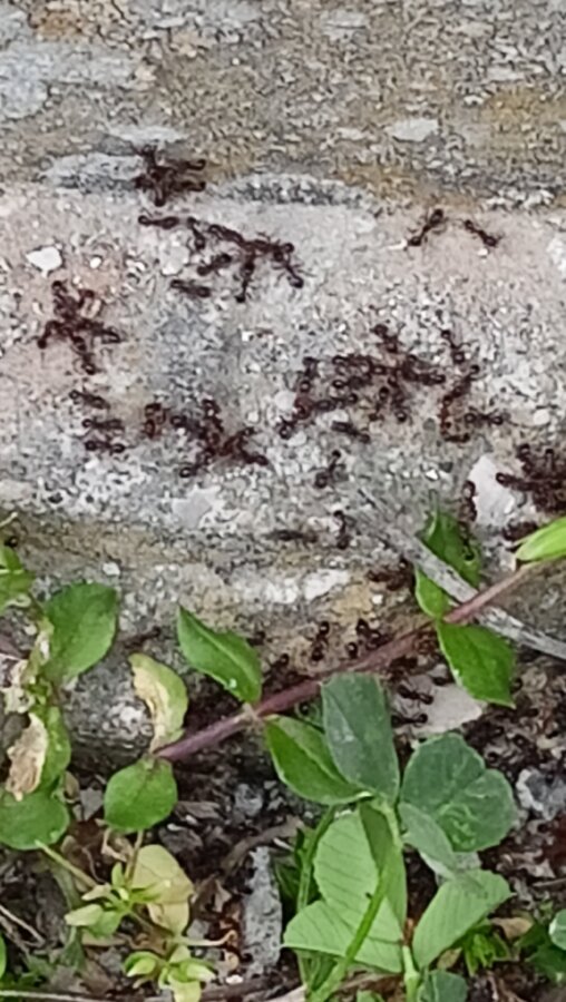 IMG20240413143939.jpg